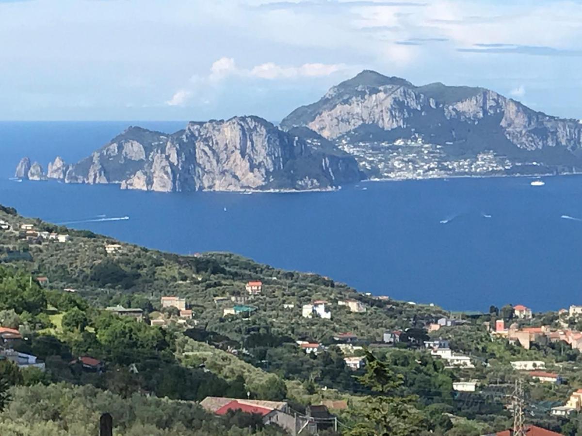 Resort Ferrara Villa Multa Quies 马萨鲁布朗斯 外观 照片
