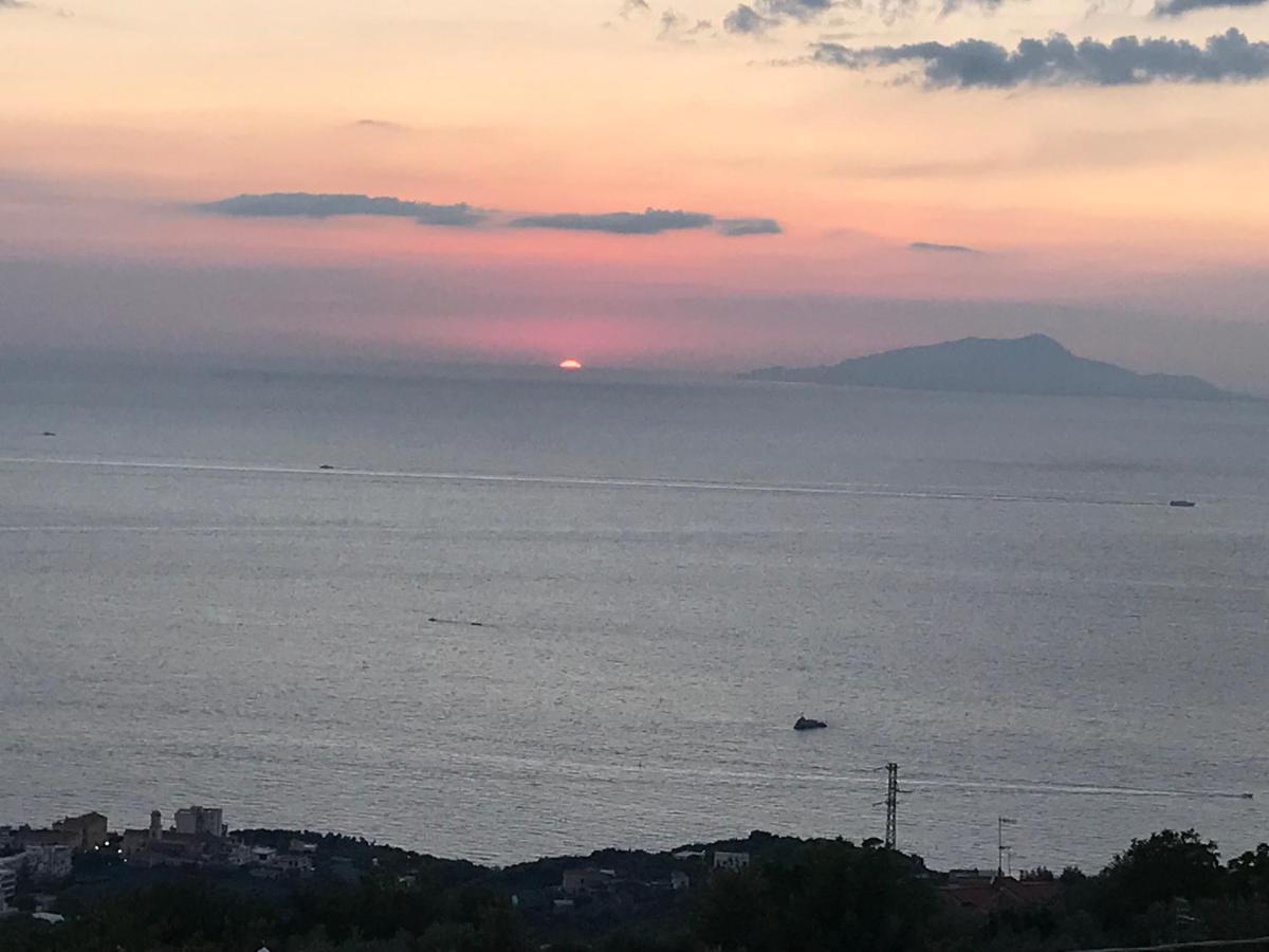 Resort Ferrara Villa Multa Quies 马萨鲁布朗斯 外观 照片